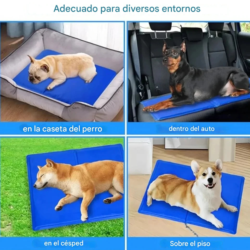 Manta refrigerante para mascotas